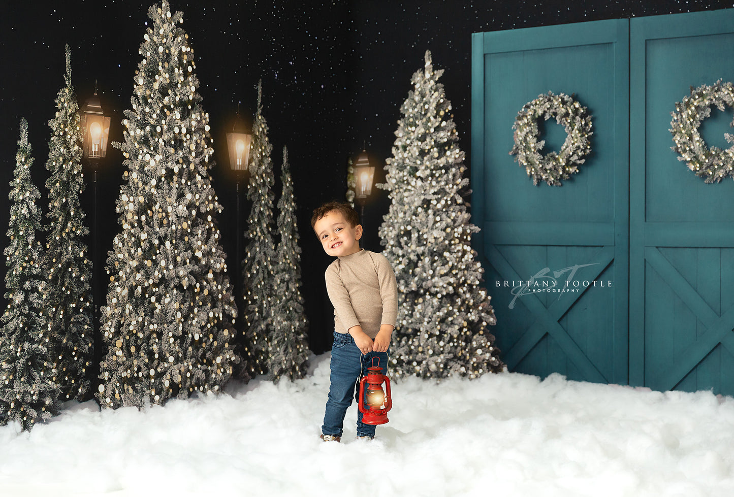 Fancy Blue Barn Doors 2pc Room