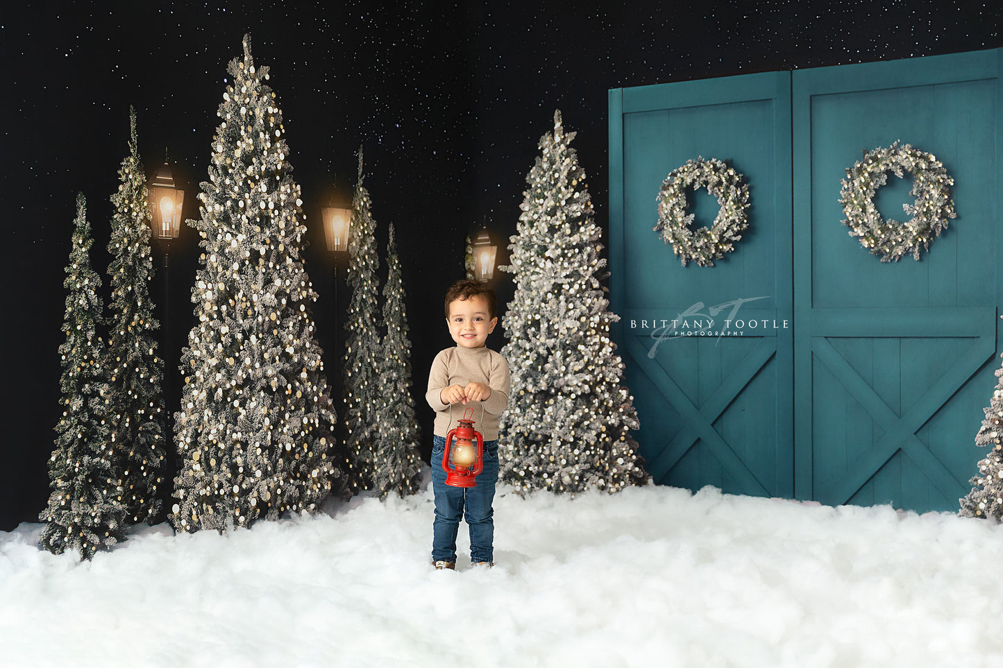 Fancy Blue Barn Doors 2pc Room