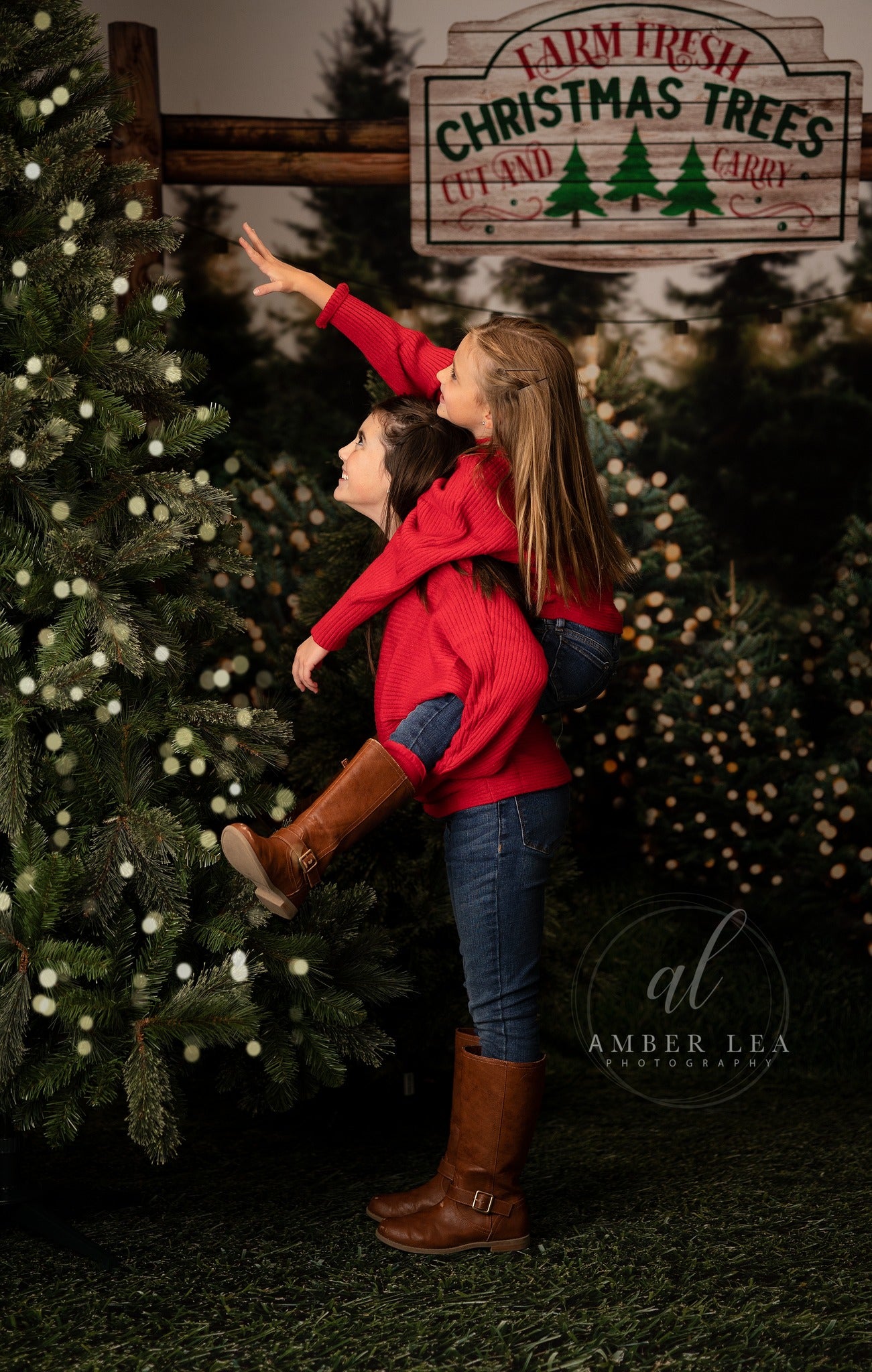 Farm Fresh Christmas Trees