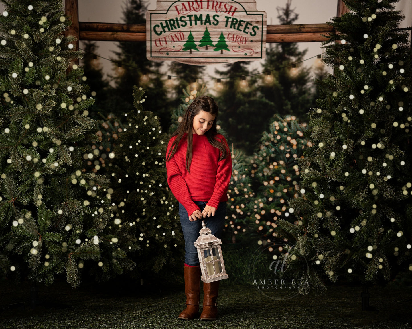 Farm Fresh Christmas Trees