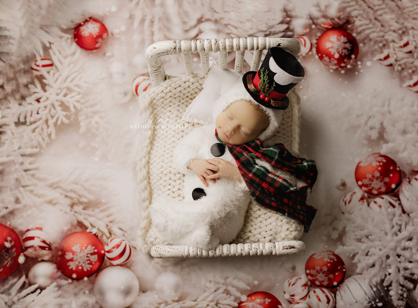 Frosted Holiday Branches - Petite