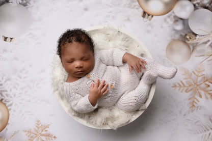 Frosted Silver & Golds - Petite