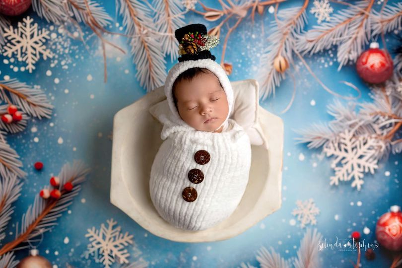 Frosty Christmas Branches - Petite