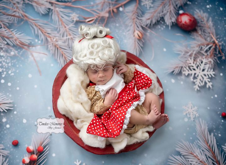 Frosty Christmas Branches - Petite