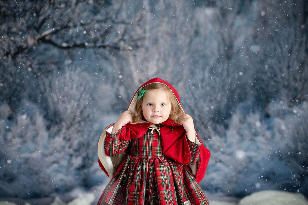 Frosty Winter Night - with Sweep Option