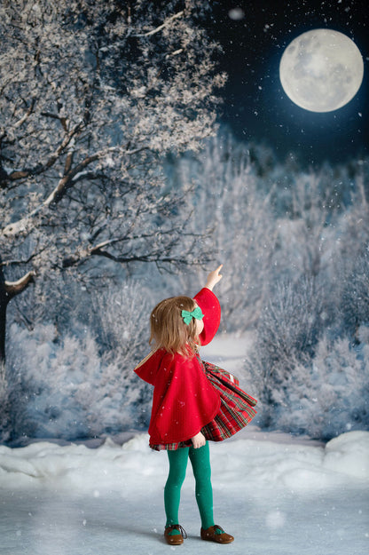 Frosty Winter Night - with Sweep Option