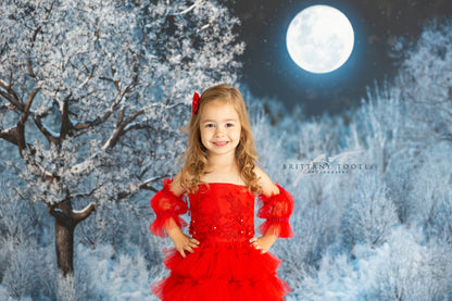 Frosty Winter Night - with Sweep Option