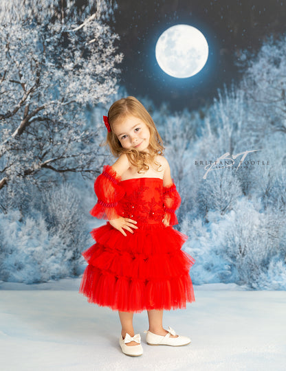 Frosty Winter Night - with Sweep Option