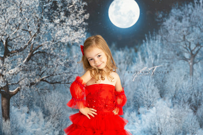 Frosty Winter Night - with Sweep Option