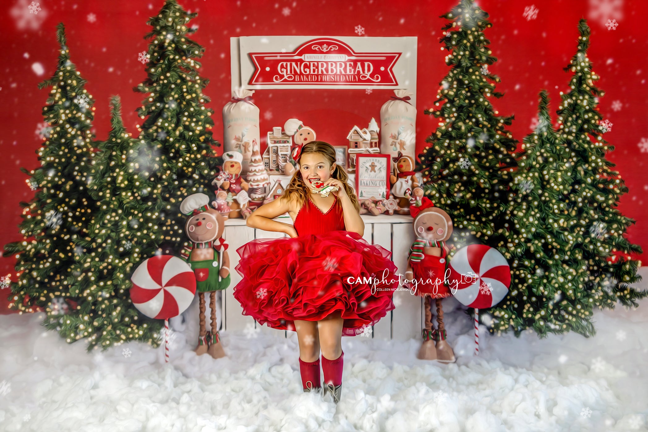 Gingerbread Stand – Fancy Fabric & Props