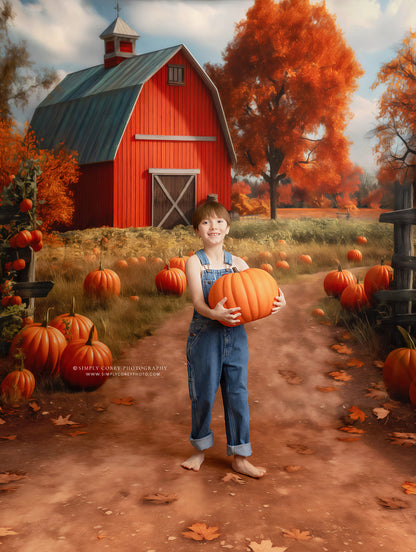 Harvest Hills Ranch - Room