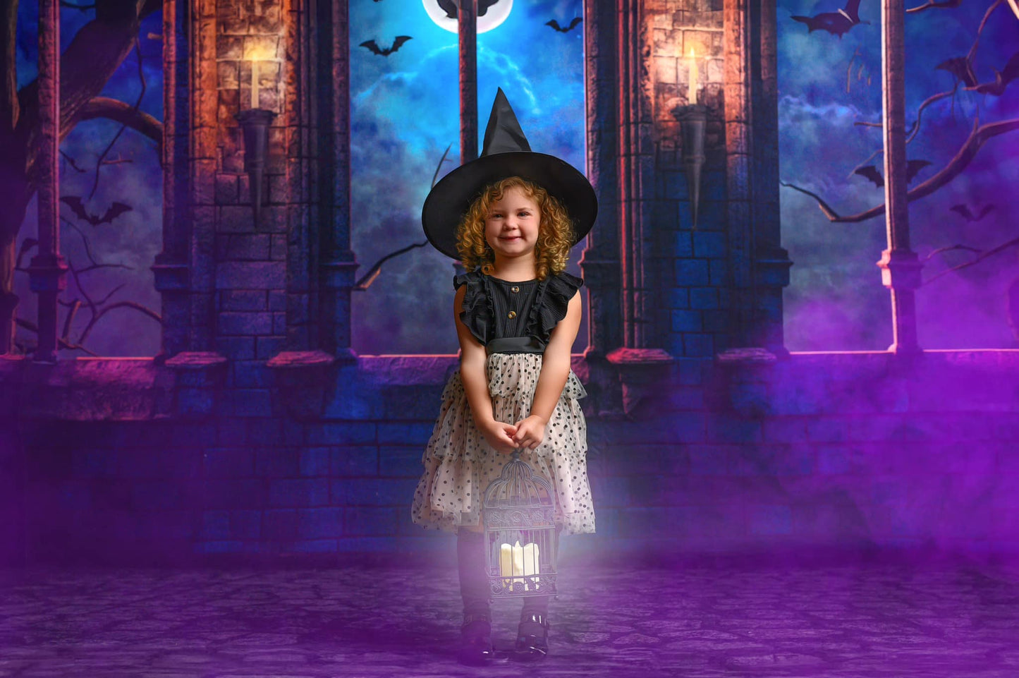 Haunting Castle View - With Sweep Option