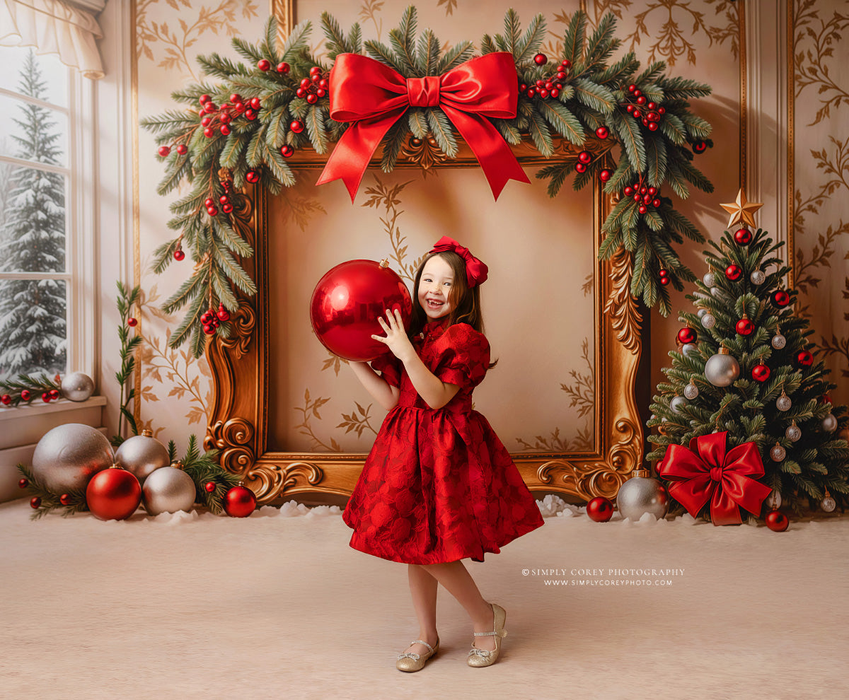 Holiday Portrait Room - with Sweep Option