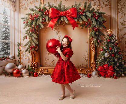 Holiday Portrait Room - with Sweep Option