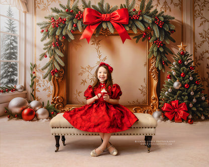 Holiday Portrait Room - with Sweep Option