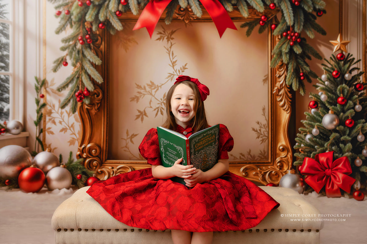 Holiday Portrait Room - with Sweep Option