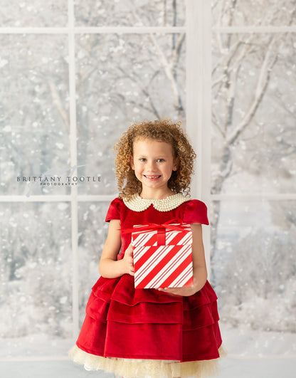 Red & White Holiday Birch 2pc Room