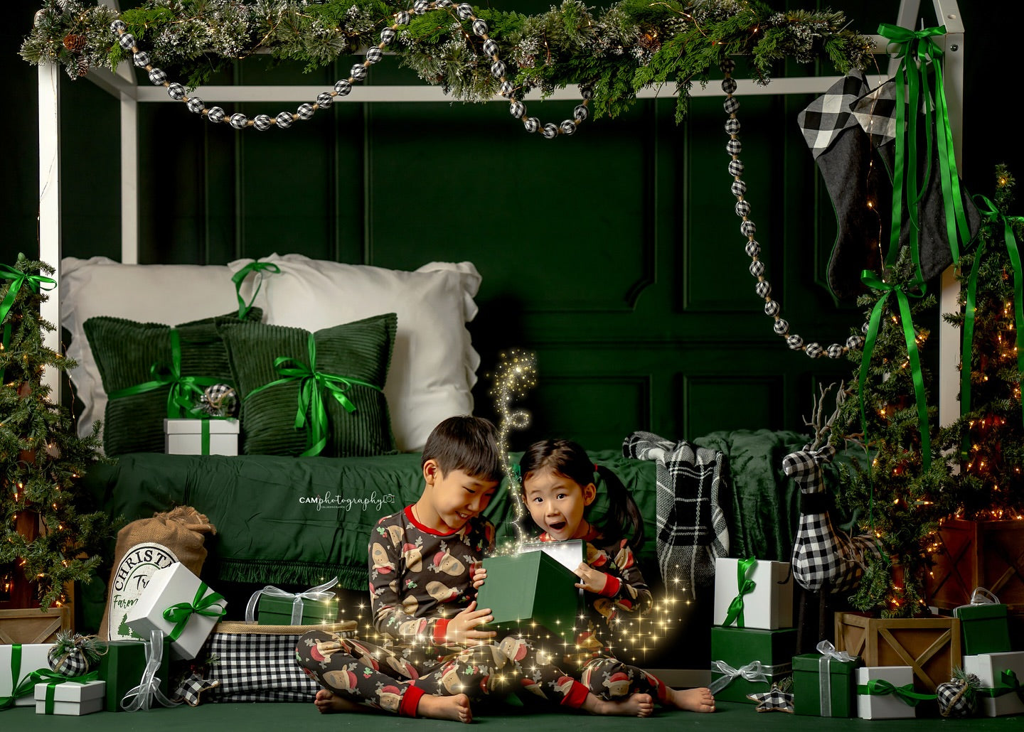 Holly Jolly Green Wainscoting Wall