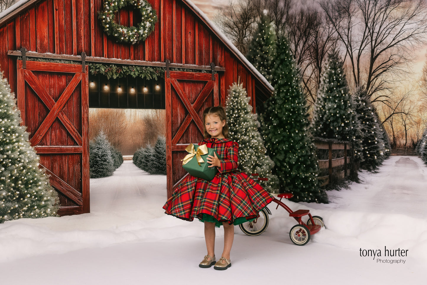 Hollyberry Hill Tree Farm - Room