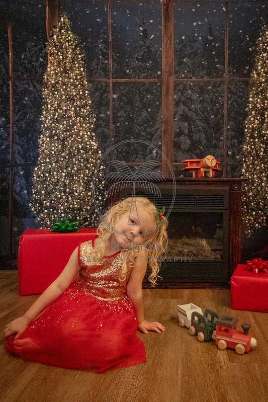 Bay Window With Trees