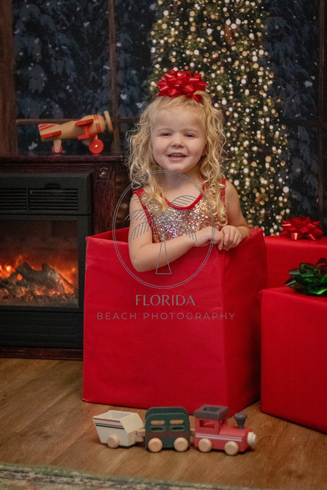 Bay Window With Trees