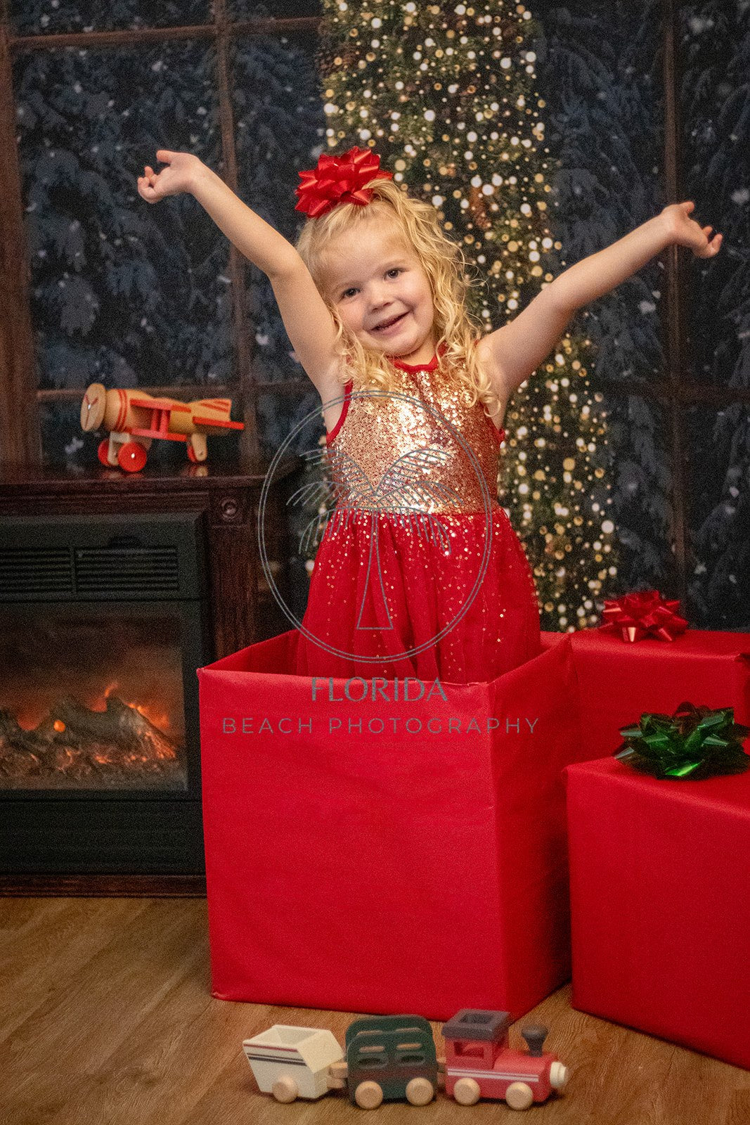 Bay Window With Trees