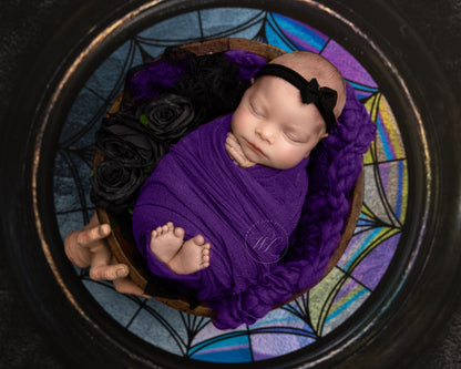 Nevermore View - Petite