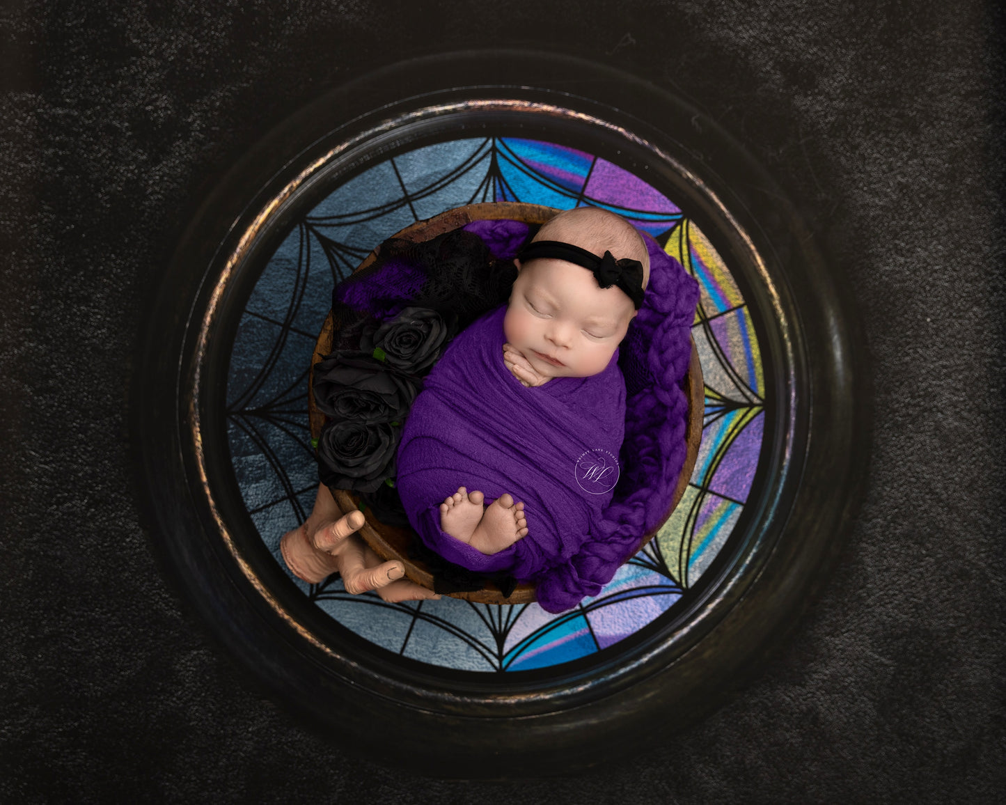 Nevermore View - Petite