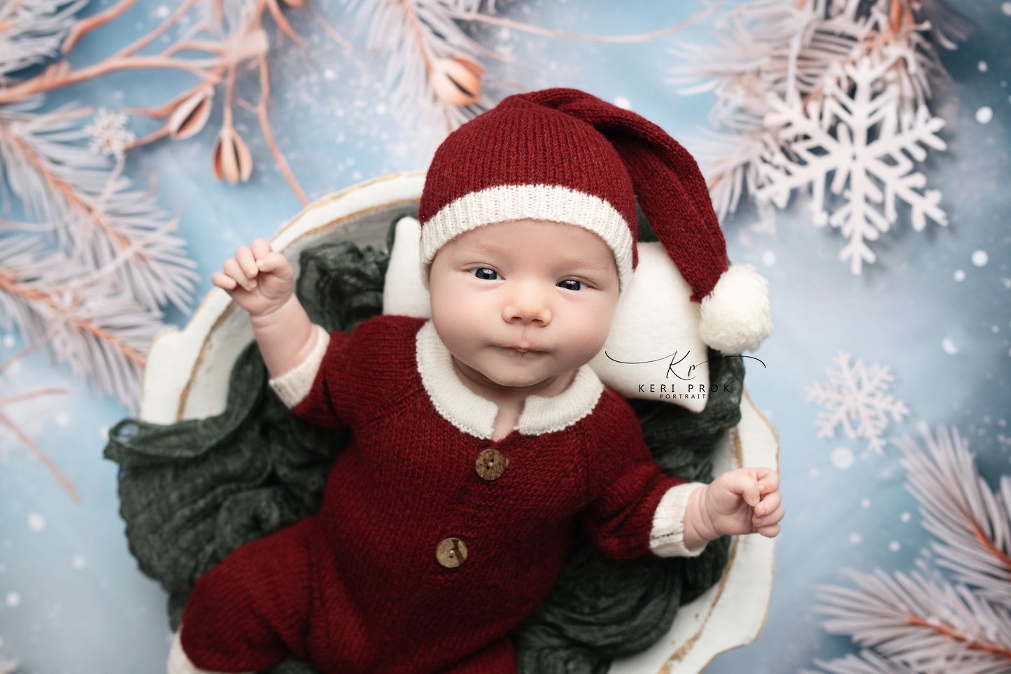 Frosty Christmas Branches - Petite