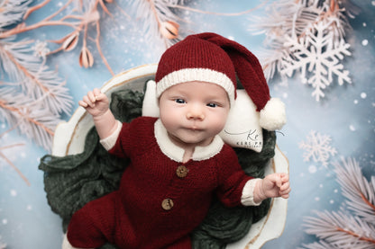 Frosty Christmas Branches - Petite