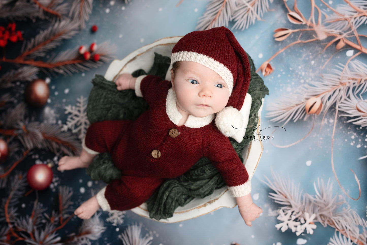 Frosty Christmas Branches - Petite