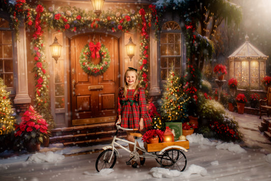 Merry Holiday Entry - Brown Door - Room