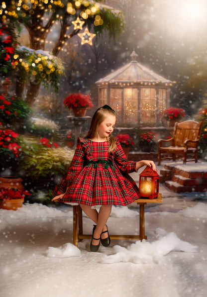 Merry Holiday Entry - Brown Door - Room