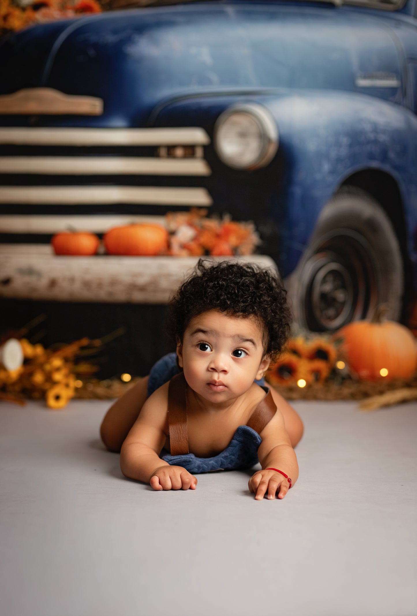 Webster's Harvest Haul - with Sweep Option