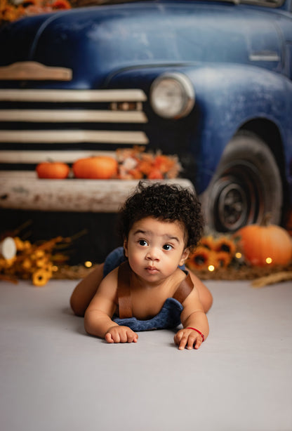 Webster's Harvest Haul - with Sweep Option