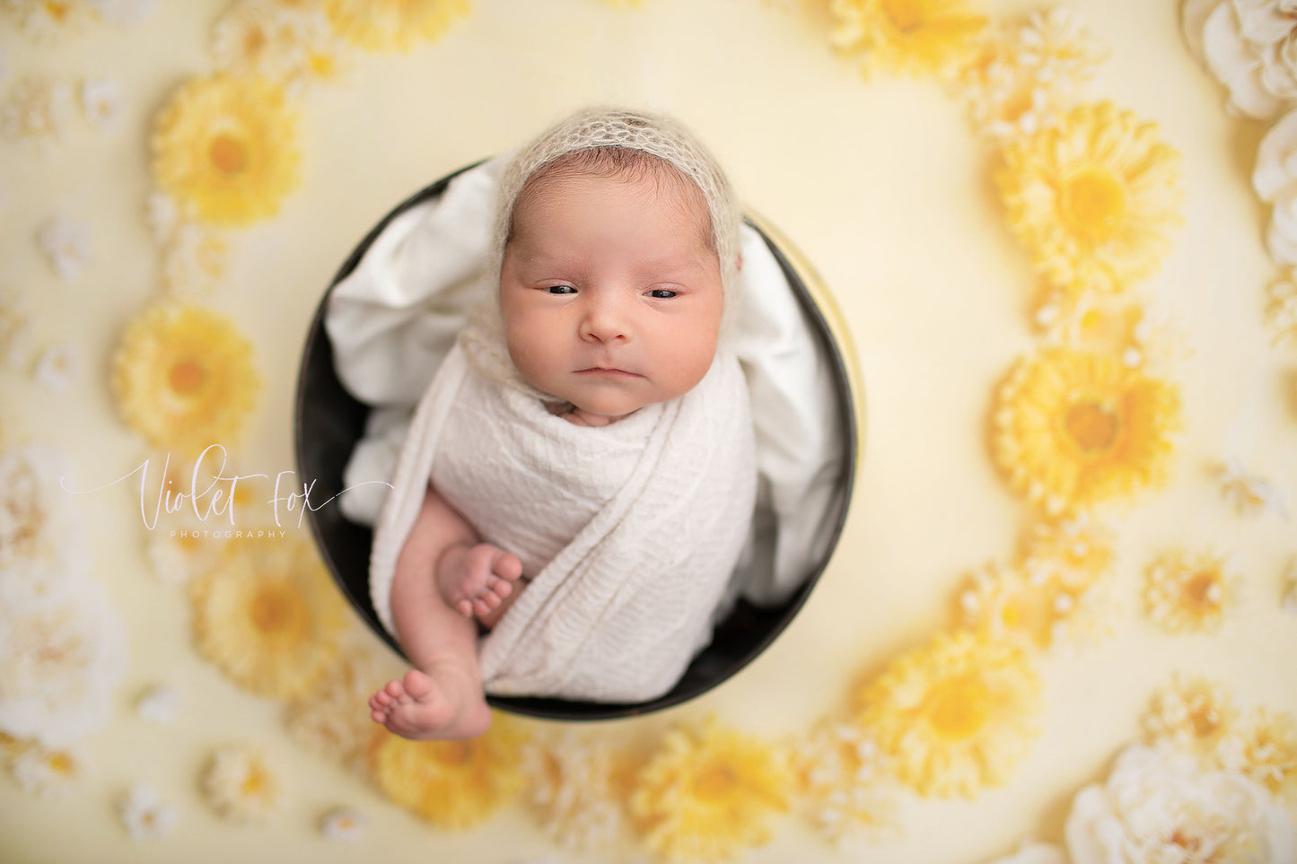 Delicate Daisy - Petite