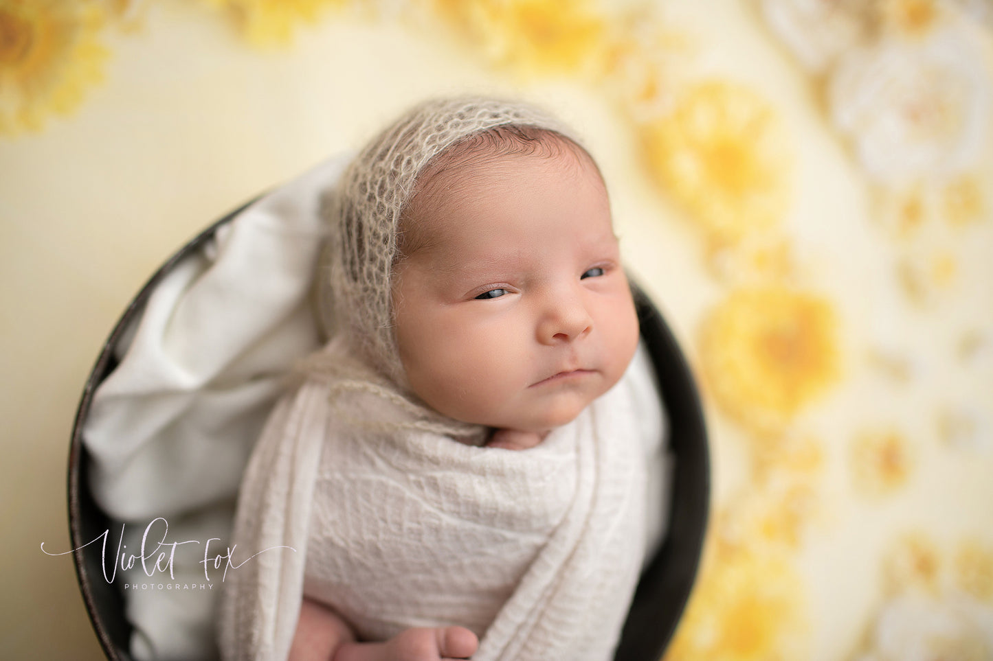 Delicate Daisy - Petite