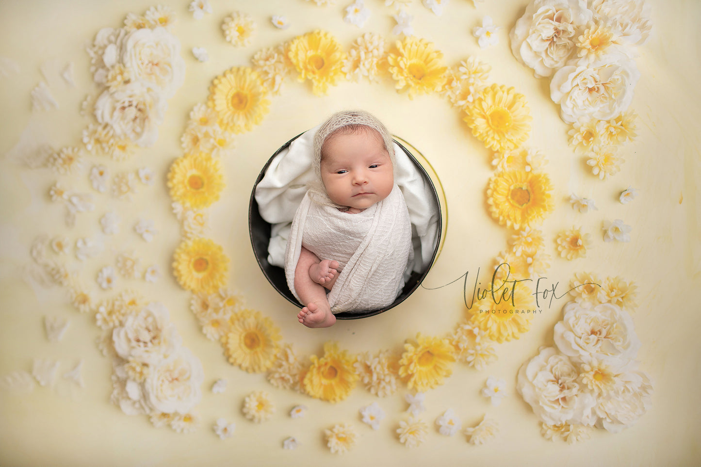 Delicate Daisy - Petite