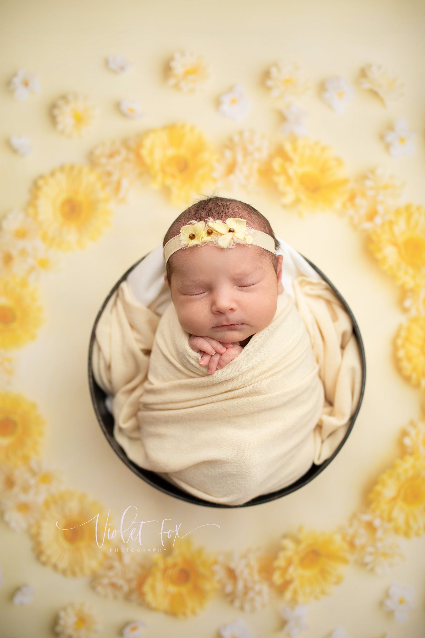 Delicate Daisy - Petite