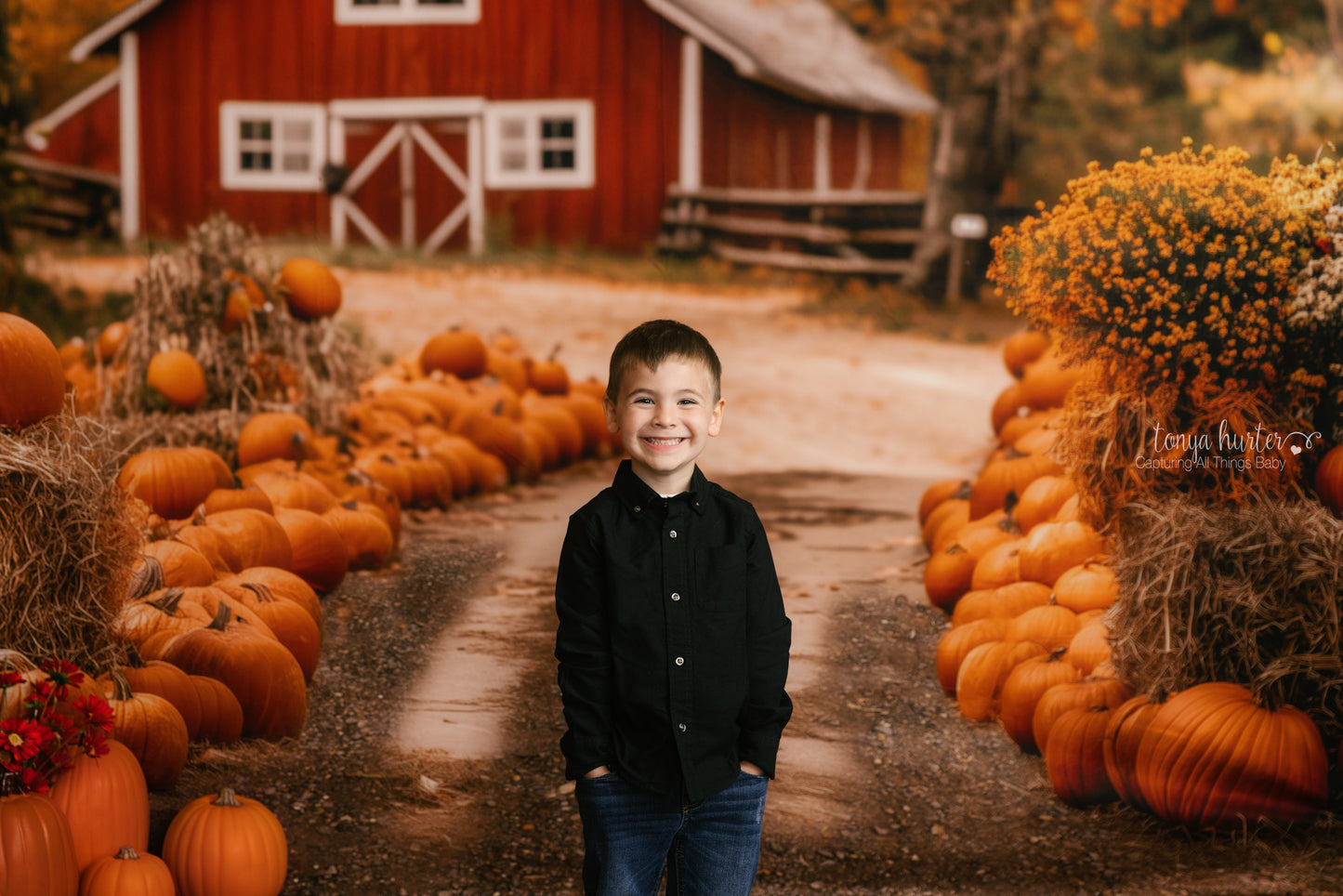 Maple Ridge Pumpkin Farm - with Sweep Option