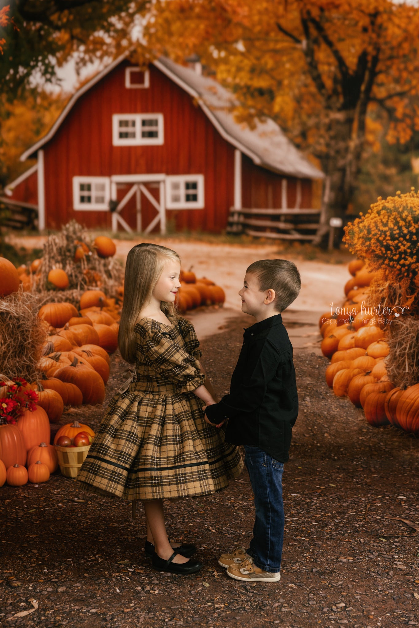 Maple Ridge Pumpkin Farm - with Sweep Option