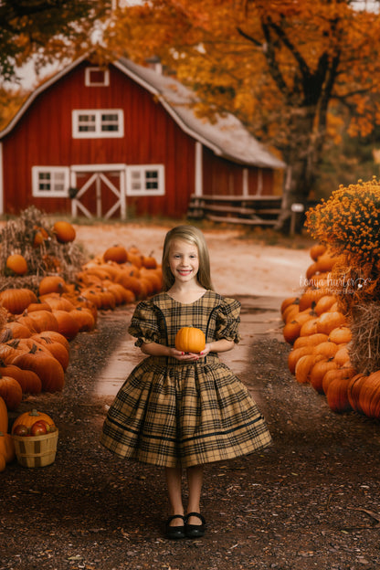 Maple Ridge Pumpkin Farm - with Sweep Option
