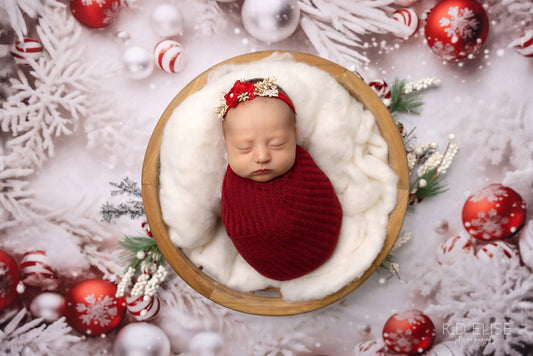 Frosted Holiday Branches - Petite