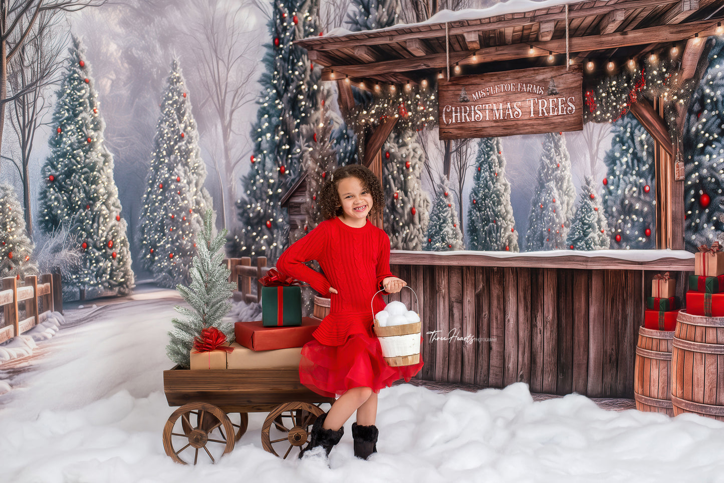 Mistletoe Farms Christmas Tree Stand - Room