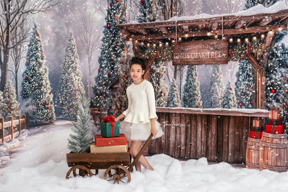 Mistletoe Farms Christmas Tree Stand - Room