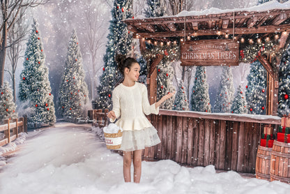 Mistletoe Farms Christmas Tree Stand - Room