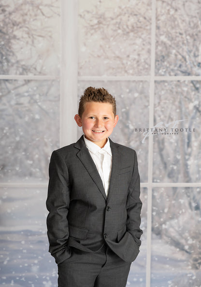 Morning Snowy Bay View - Room