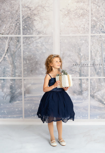 Morning Snowy Bay View