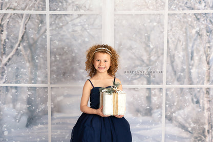 Morning Snowy Bay View