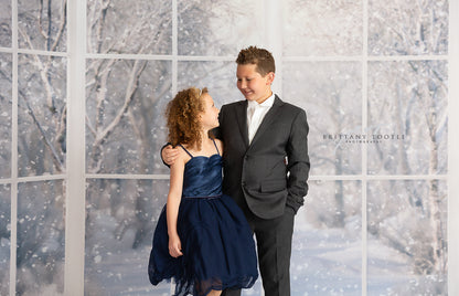 Morning Snowy Bay View - Room